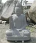 morepic-2